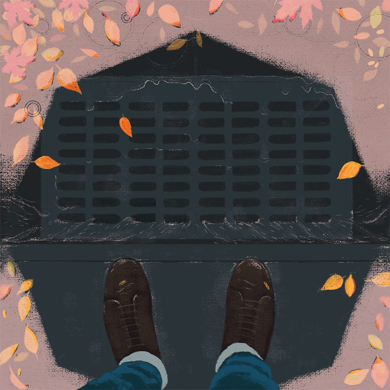 Rain and fall, in Ditmas Park